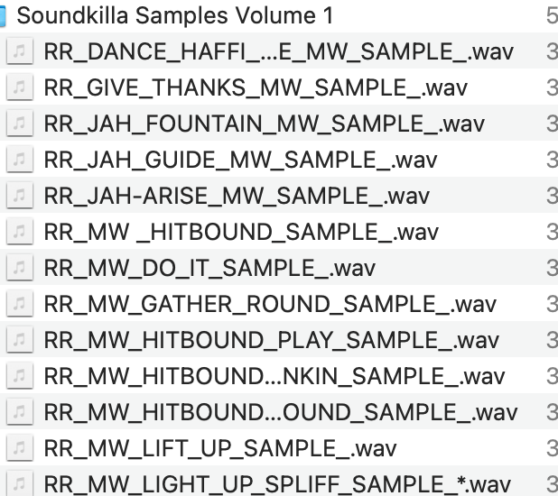 Soundkilla Sample Pack VOLUME 1 (Mr Williamz)